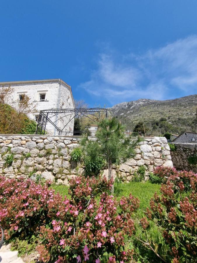 Casa Vita Nova Perast Zewnętrze zdjęcie