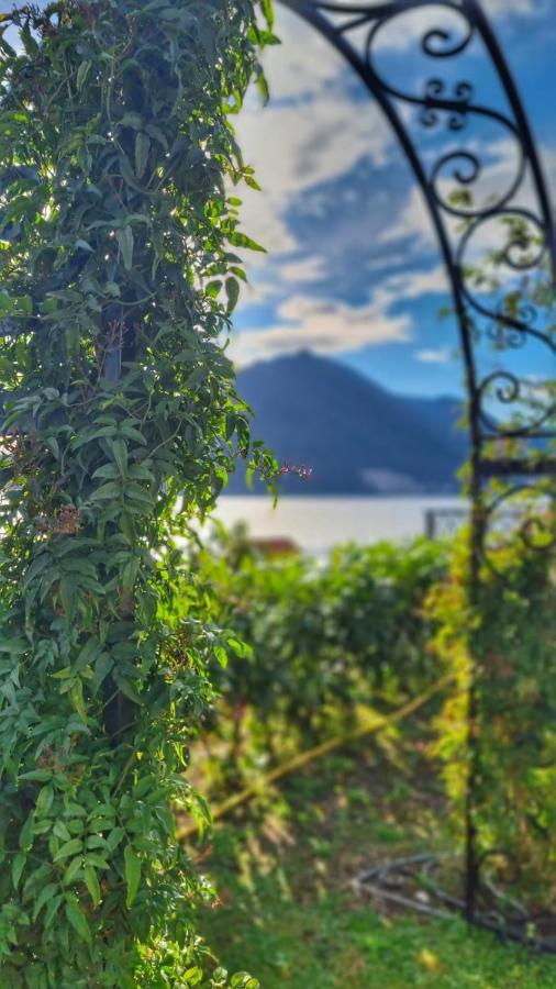 Casa Vita Nova Perast Zewnętrze zdjęcie